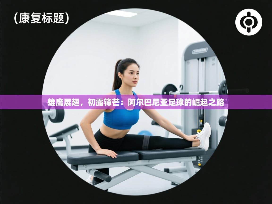 雄鹰展翅，初露锋芒：阿尔巴尼亚足球的崛起之路  第1张